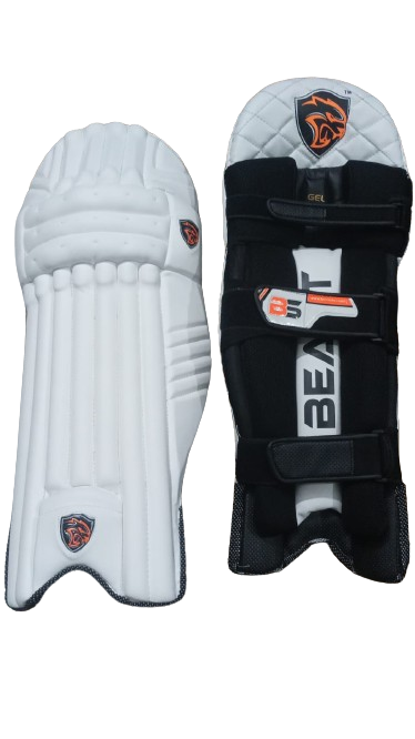 Batting Pads 2